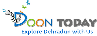 Web Site Designer